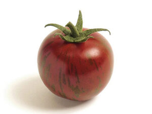 Pomidor w paski