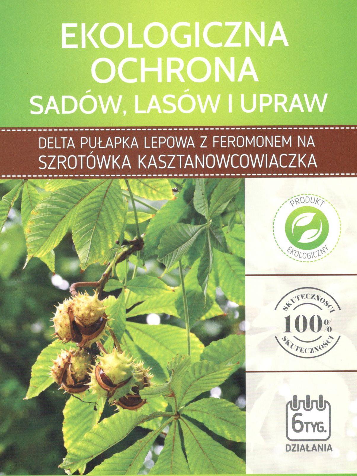 pułapka na szrotówka