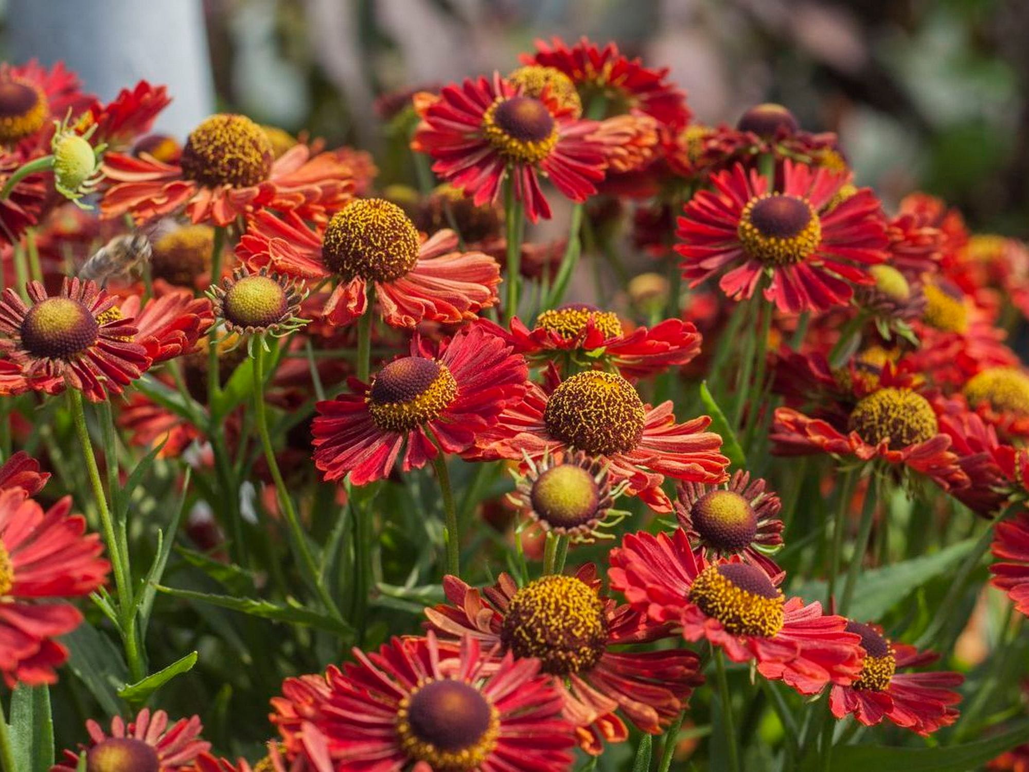 7446.jpg