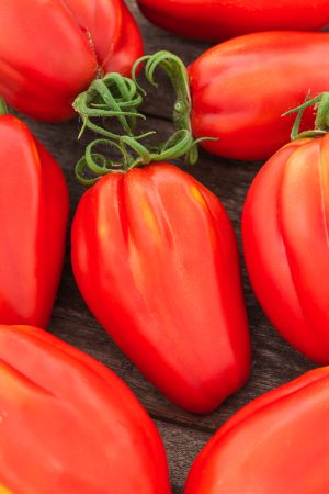 Czerwony podłużny pomidor