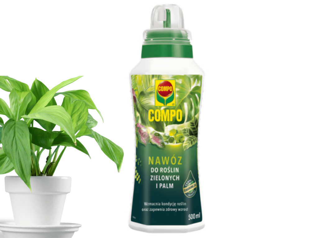 Nawóz do roślin zielonych COMPO