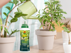 Nawóz do roślin zielonych i palm compo