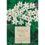 narcyzy
