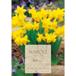 Narcyz Tete-a- tete cebulki (1) (1)