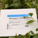 Nemasys L 250 mln