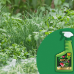 spray na choroby i szkodniki compo complete