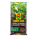ziemia do roślin zielonych i palm compo