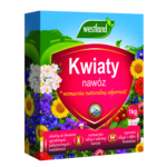 kwiaty w ogrodzie