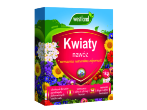 kwiaty w ogrodzie