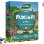 nawożenie wrzosowatych
