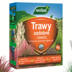 nawożenie traw ozdobnych