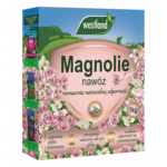 nawożenie magnolii