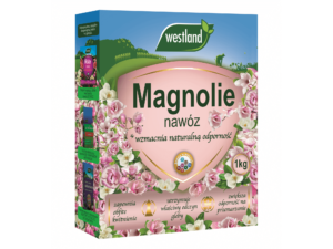 nawożenie magnolii