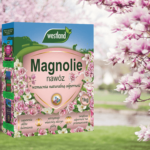 magnolia nawóz