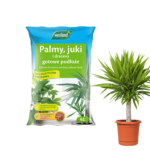 Mała ziemia do plam juk dracen