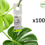 Swirski 100 szt