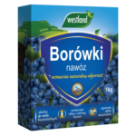 nawożenie borówki amerykańskiej
