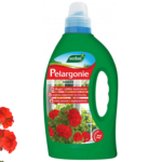 nawożenie pelargoni