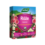 kwitnace róże