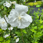 flower tower white (2) (1)