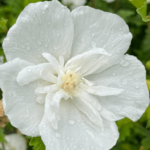 flower tower white (3)