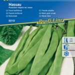 fasolka