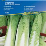 Kapusta Michihili