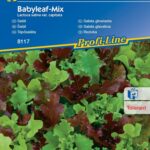 mix sałat