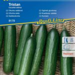 Ogórek Tristan