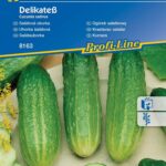Ogórek delikate