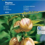 Pepino