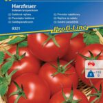 Pomidor Harzfeuer