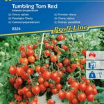 Pomidor Thumbling Tom Red