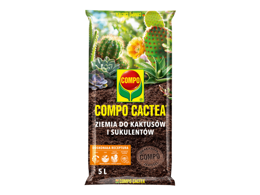 ziemia do kaktusów i sukulentów compo