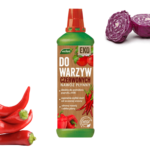 czerwone warzywa (1)