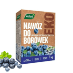 ekologiczna borówka