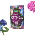 nawożenie hortensji