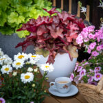 Heuchera World Caffe Vienna