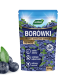 uprawa borówki (
