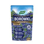 uprawa borówki