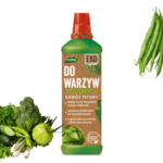 zielone warzywa