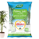 ziemia do palm juk dracen (2) (1)