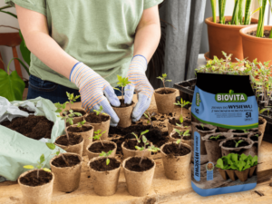 podłoże z włóknem kokosowym