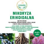 Mikoryza do kwaśnych 2