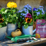 nawóz do kwiatów