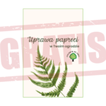 poradnik paprocie