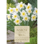 narcyzy