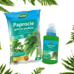 nawóz + ziemia do paproci (1)