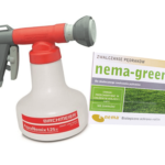 nicienie + dozownik nema green