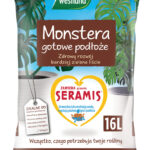 podloze-monstera